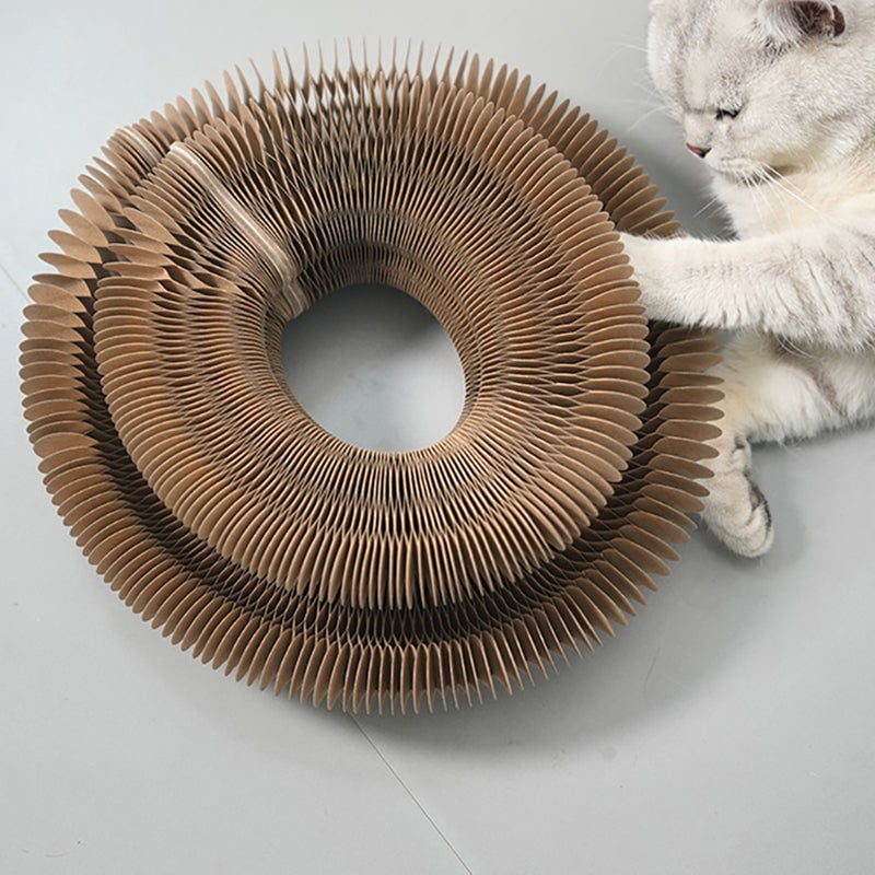 Magic Organ Cat Scratching Board