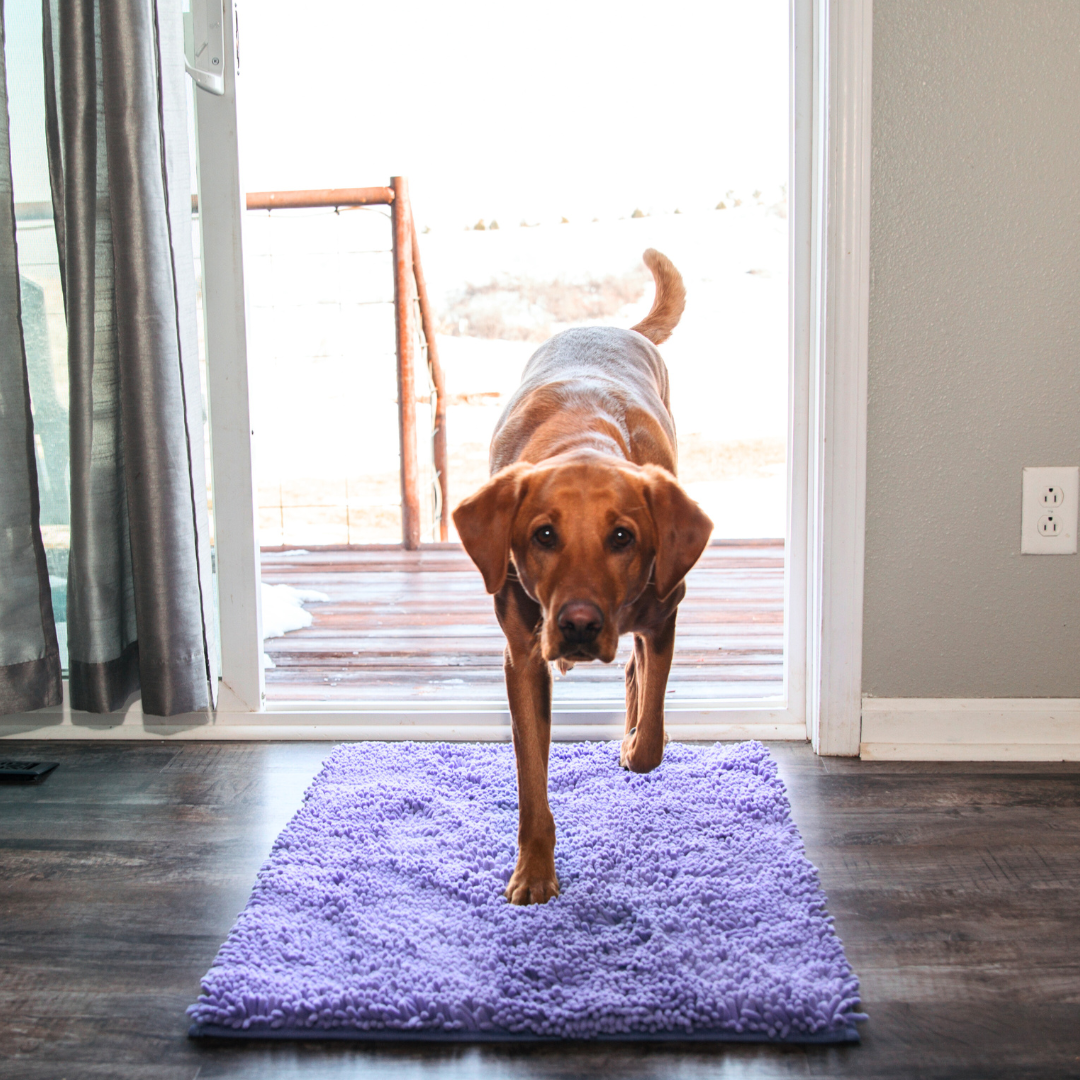 Dog Entrance Mat - Boris Bowlift