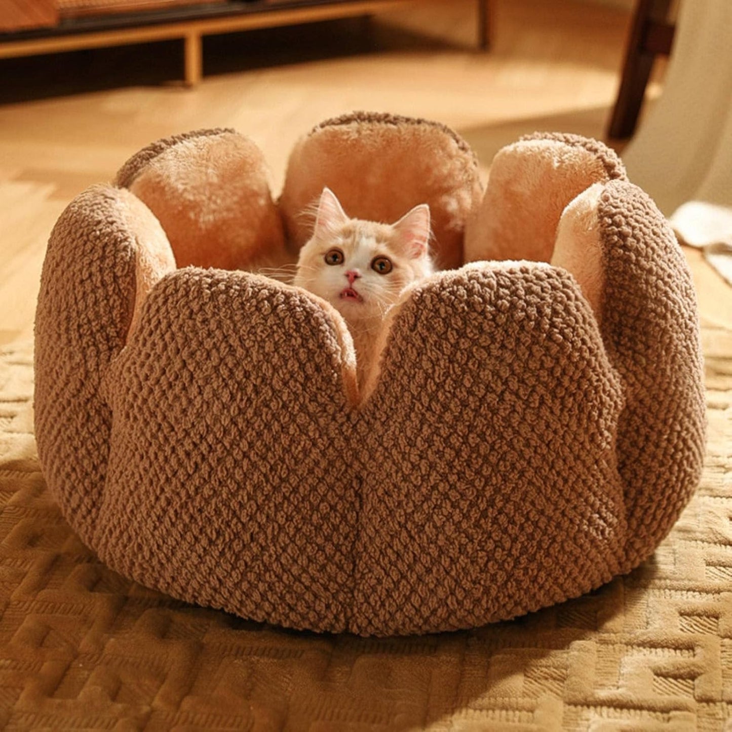 Flower-Shaped Pet Bed - PetBloom Bowlift