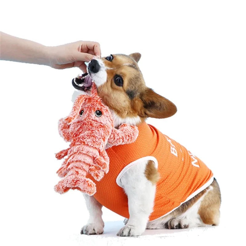 Interactive Dog Toy - BouncyLobster Bowlift