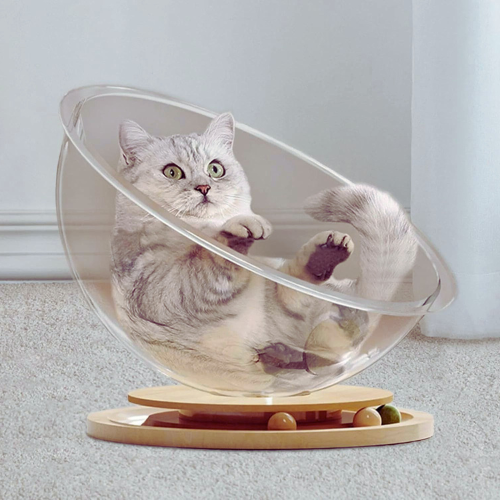 Play and Relax Haven for Your Cat - PurrPlay Pod Bowlift
