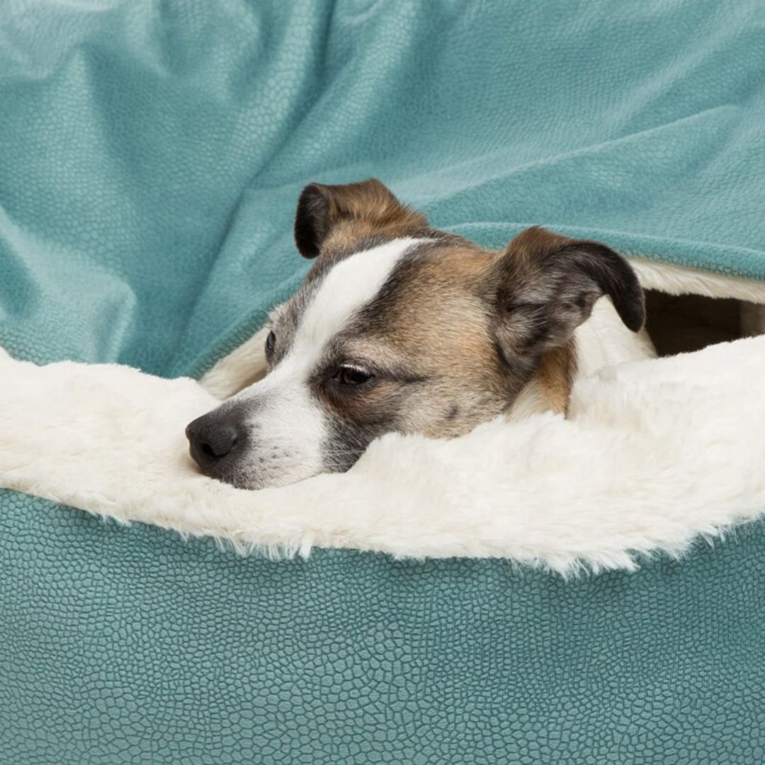 SnuggleNest Dog Cuddle Cave - The Ultimate Comfort for Your Pet Bowlift