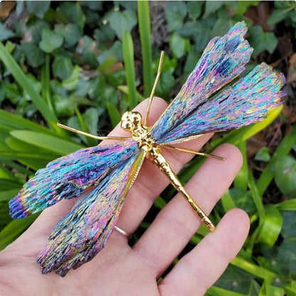 💥TOURMALINE KYANITE DRAGONFLY💥🔥BIG SALE - 40% OFF🔥
