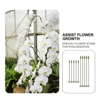 🔥Early Spring Sale 40% Off🌱Plant Support Stake