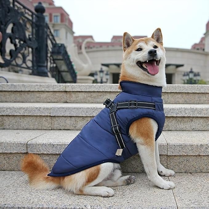🔥LAST DAY SALE 40% OFF🐕Vet Recommended Dog Jacket
