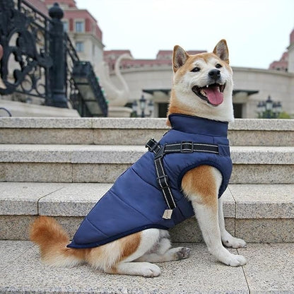 🔥LAST DAY SALE 40% OFF🐕Vet Recommended Dog Jacket