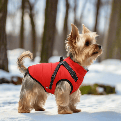 🔥LAST DAY SALE 40% OFF🐕Vet Recommended Dog Jacket