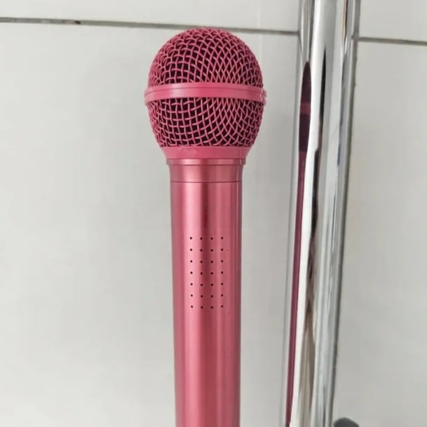 🚿 Microphone-Shaped Creative Showerhead