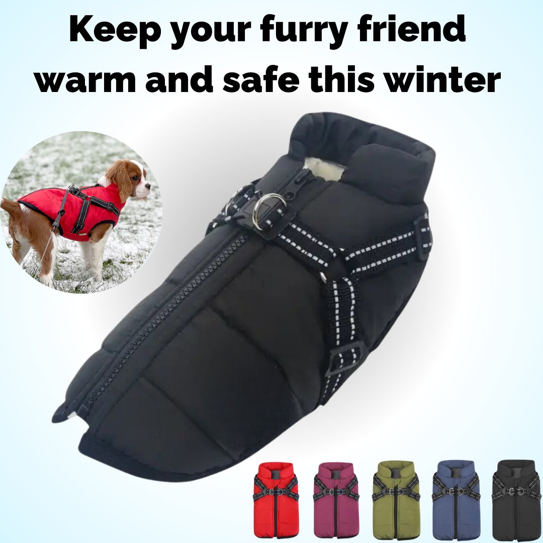 🔥LAST DAY SALE 40% OFF🐕Vet Recommended Dog Jacket