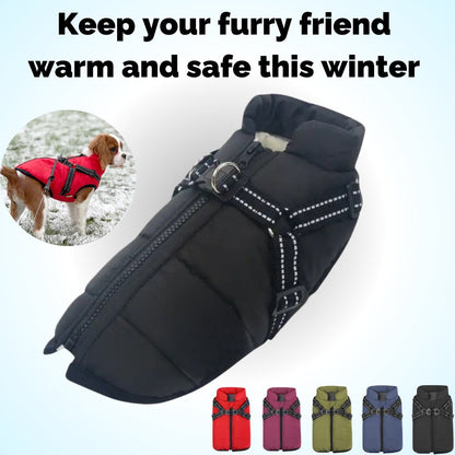 🔥LAST DAY SALE 40% OFF🐕Vet Recommended Dog Jacket