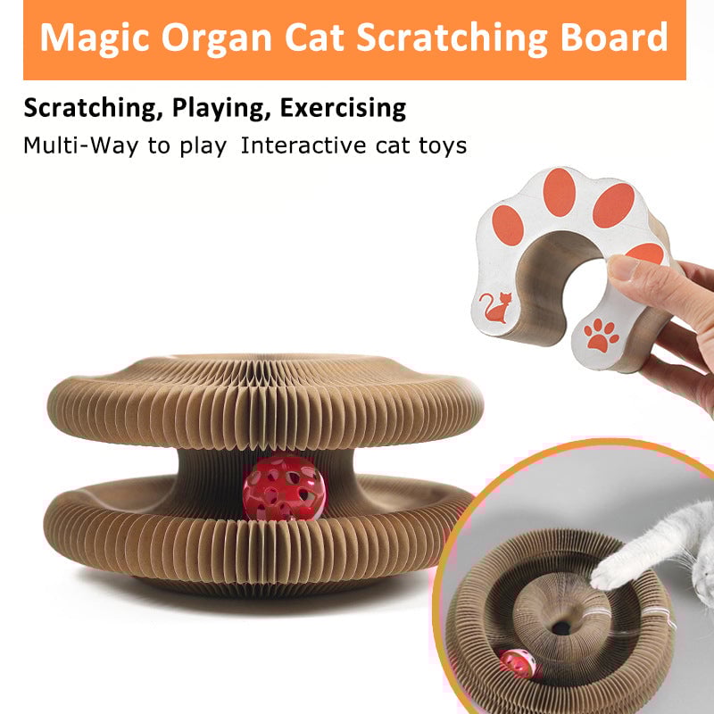 Magic Organ Cat Scratching Board