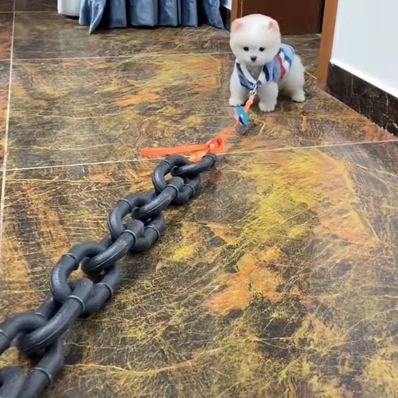 🔥Hot Sale 40% OFF🔥Chain Pet Dog Leash