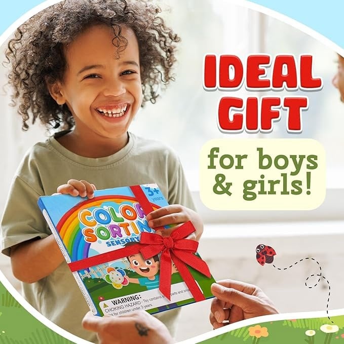 Color Sorting Toys