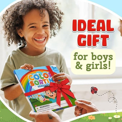 Color Sorting Toys