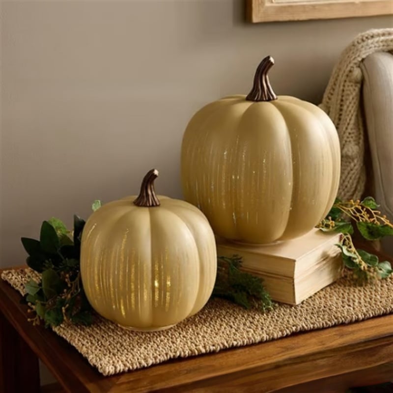 🎃Twinkle Light Pumpkins