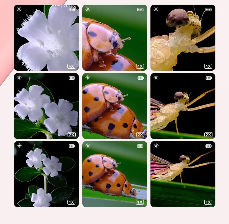 40% OFF🔥Microscope For Kids - Portable Handheld Magnifying Glass For Kids