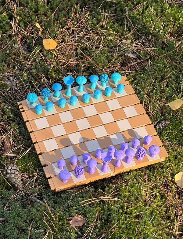 🍄 Magnetic Forest Mushrooms Chess