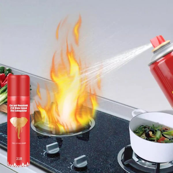 🔥2025 New Arrival🔥 Car and Household 21B Water-based Fire Extinguisher🚀