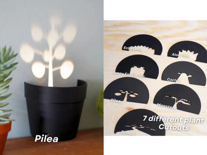 Plant Pot Light Projections
