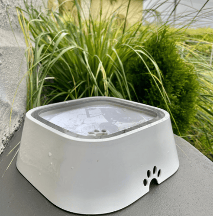 🔥 Splash-proof pet water bowl: wet mouth proof, tip-over proof, and car safe! 🌊🚗