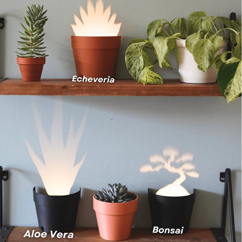 Plant Pot Light Projections