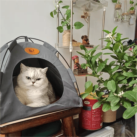 Portable Pet Tent