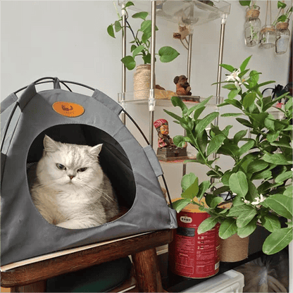 Portable Pet Tent