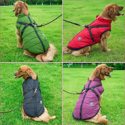 🔥LAST DAY SALE 40% OFF🐕Vet Recommended Dog Jacket