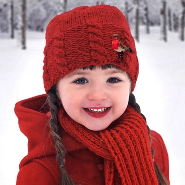 40% OFF🐦Robin Wooden Brooch