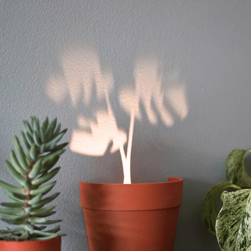 Plant Pot Light Projections