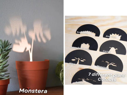 Plant Pot Light Projections