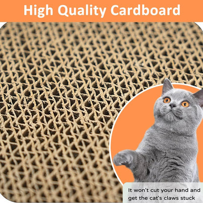 Magic Organ Cat Scratching Board