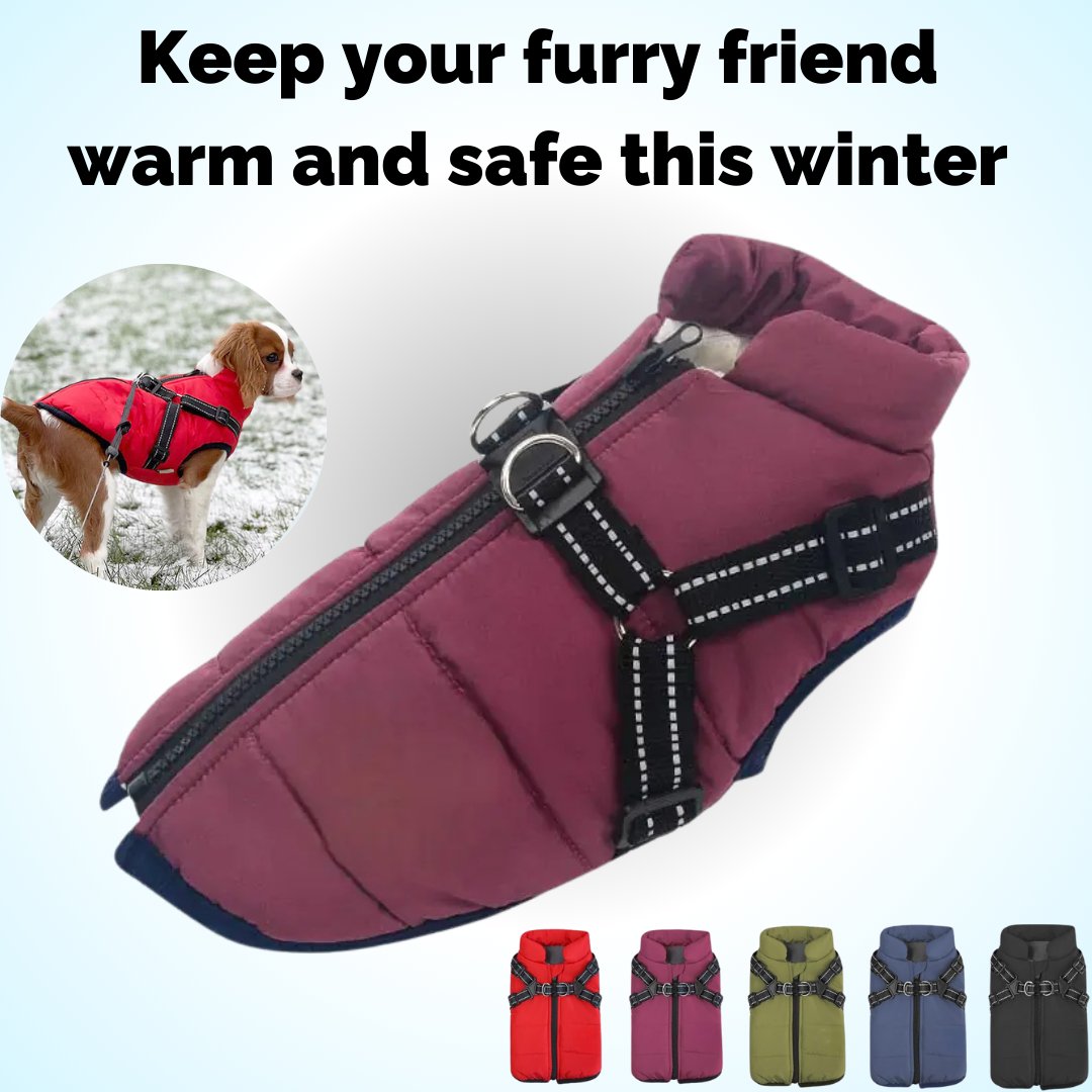 🔥LAST DAY SALE 40% OFF🐕Vet Recommended Dog Jacket