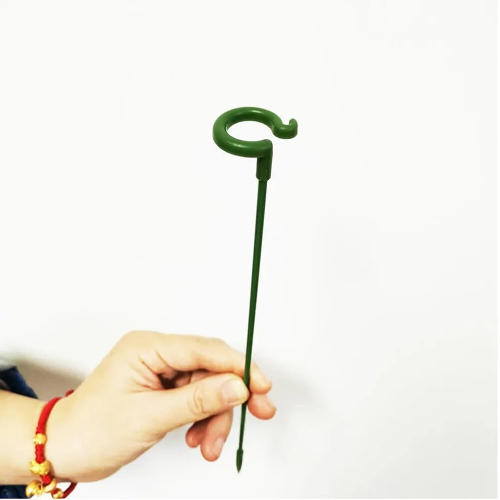 🔥Early Spring Sale 40% Off🌱Plant Support Stake
