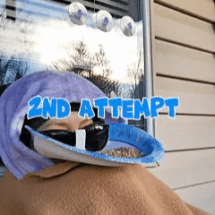 🏆1 New Year Best-Seller 🎉BirdieVision Glasses-Frame Bird Feeder