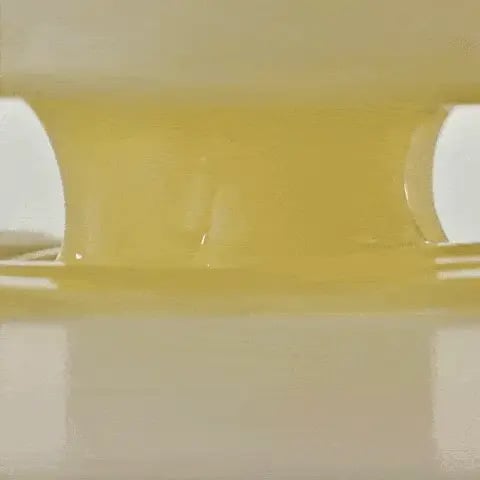 🌾 Boosting Shot Ampoule ✨