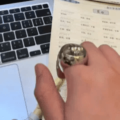 🔥Hot Sale 40% OFF✨Fun Spinning Rings