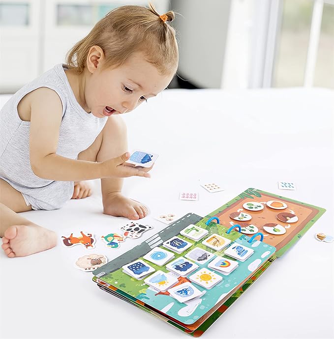 The Lifetime Sensory Book