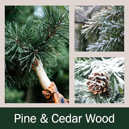 🎅Christmas gift🎄Christmas Tree Cedar Forest Candles