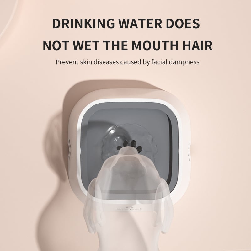 🔥 Splash-proof pet water bowl: wet mouth proof, tip-over proof, and car safe! 🌊🚗