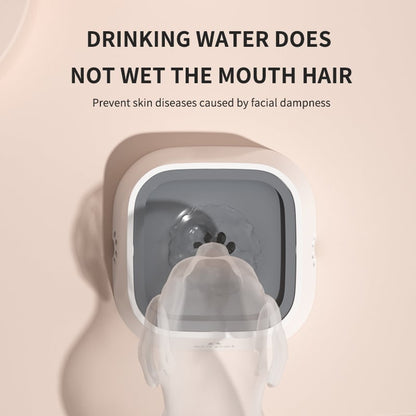 🔥 Splash-proof pet water bowl: wet mouth proof, tip-over proof, and car safe! 🌊🚗