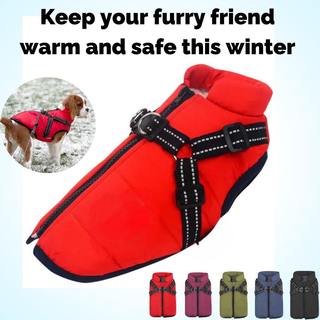 🔥LAST DAY SALE 40% OFF🐕Vet Recommended Dog Jacket