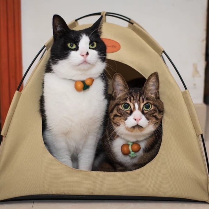 Portable Pet Tent