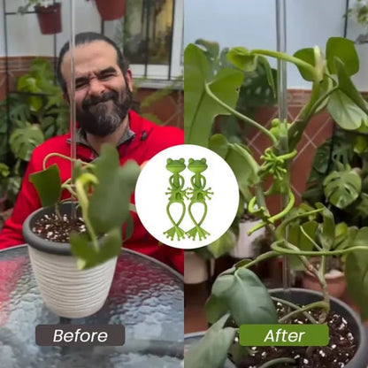 🐸 Frog Plant Stand