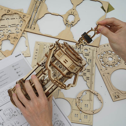 The 3d wooden puzzle