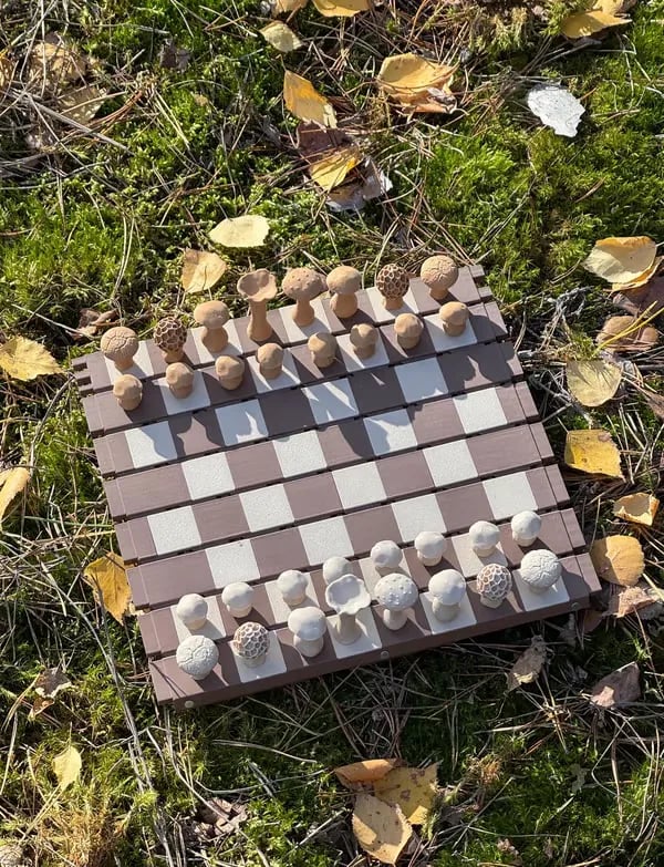 🍄 Magnetic Forest Mushrooms Chess