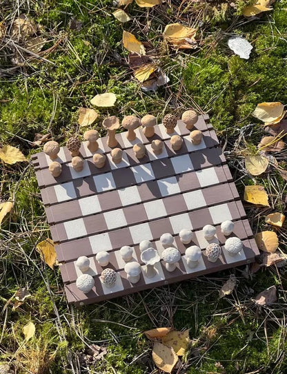 🍄 Magnetic Forest Mushrooms Chess
