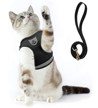 Cat Harness with Leash - AdventureKit Bowlift