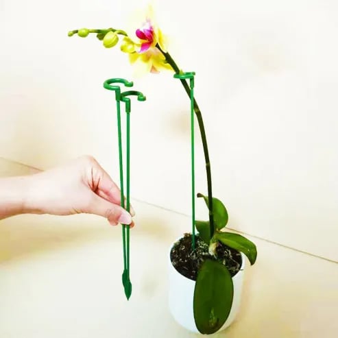 🔥Early Spring Sale 40% Off🌱Plant Support Stake