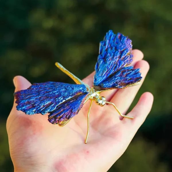💥TOURMALINE KYANITE DRAGONFLY💥🔥BIG SALE - 40% OFF🔥